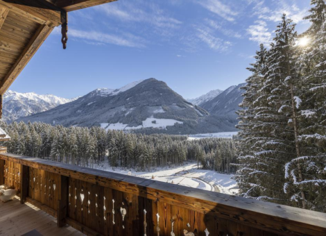 0035 Chalet 41 504