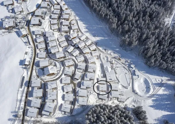 0032 NK Schwarzes Horndl winter overzicht drone