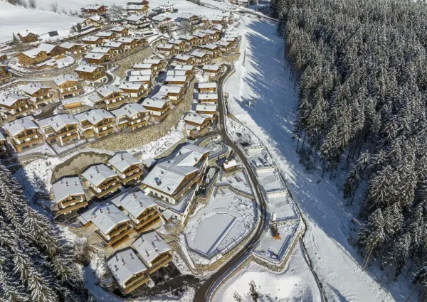 0033 NK NPC Alg winter drone park