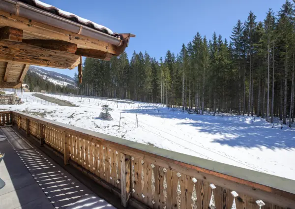 NK Vorderkopf 604 balkon