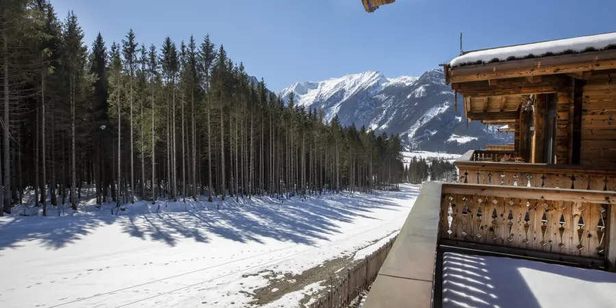 NK Vorderkopf 601 balkon