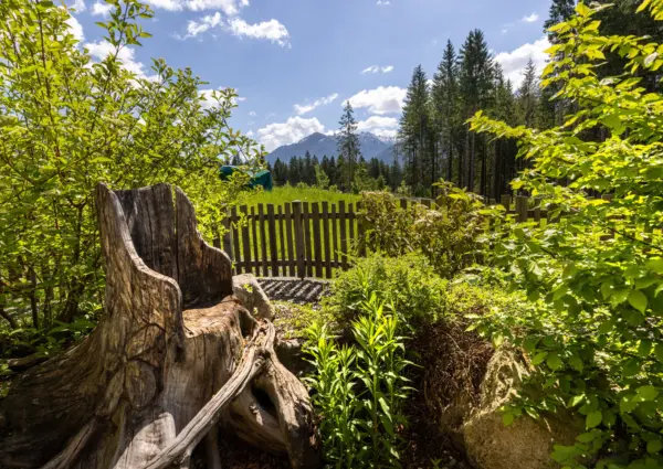 National Park Chalet Vorderkopf Neukirchen tuin