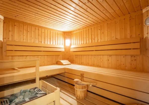Panorama Chalet Forest sauna