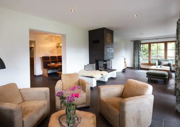 Panorama Chalet Forest ontspannen fauteils in woonkamer