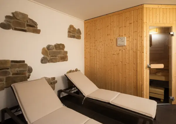 Panorama Chalet Forest ligstoelen bij sauna