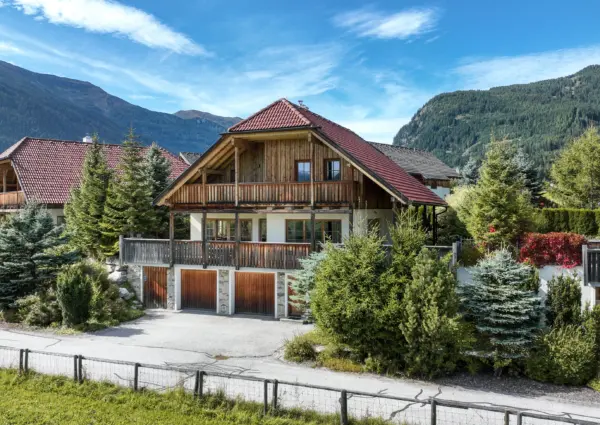 Panorama Chalet Forest zomers aanzicht