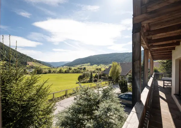 Panorama Chalet Forest uitzicht vanaf terras