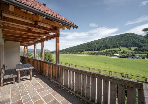 Panorama Chalet Forest terras met uitzicht