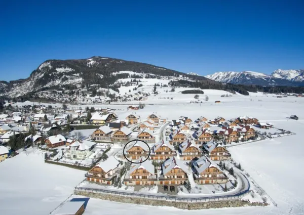 0038 MD winter drone Grau