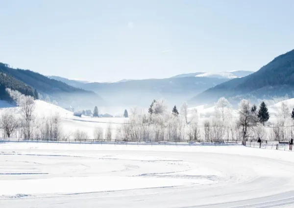 0040 MD winter drone 3