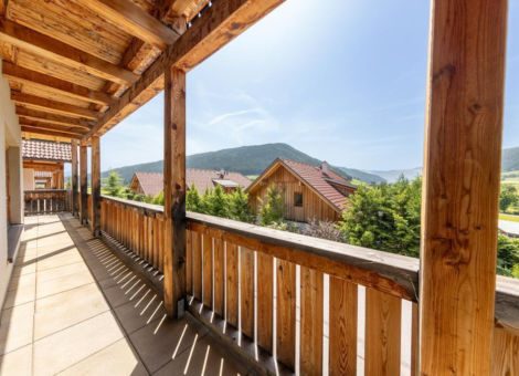 0023 MD Grau Zomer 2023 2