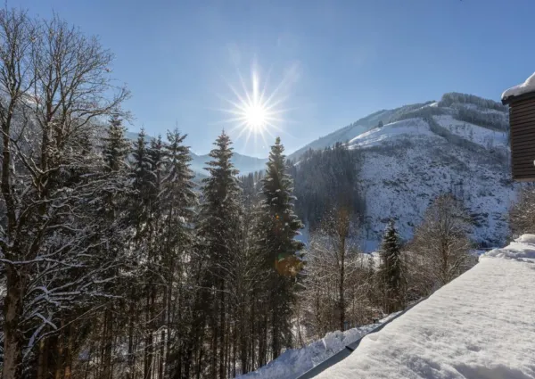 0041 VH Schmittenblick Top 5 2024 6