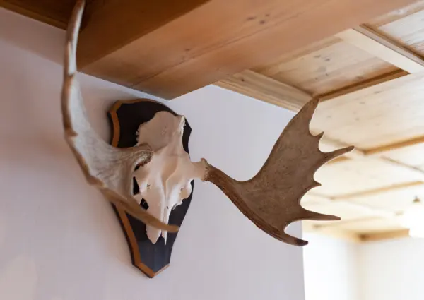 KL Pim s Alm Hutte detail 5