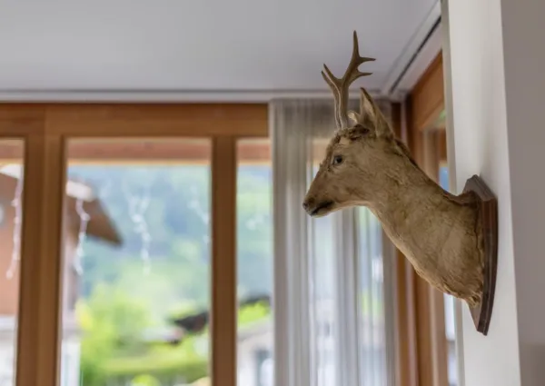 NK Sonnenfeld Top 1 2024 21