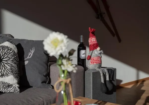 0008 NK Wildkogelbahn 12 6