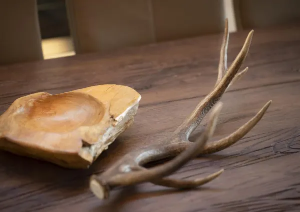 0010 NK Wildkogel Top 14 nieuw 23