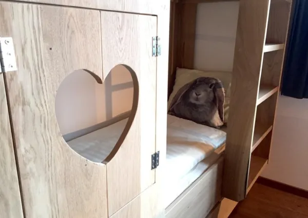 0015 NK Wildkogel 17 8b