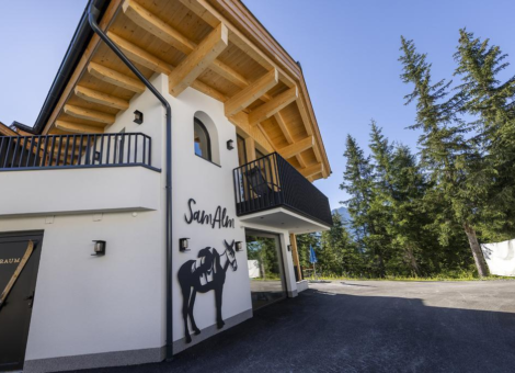 0029 HK Sam Alm zomer 19