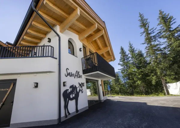 0029 HK Sam Alm zomer 19