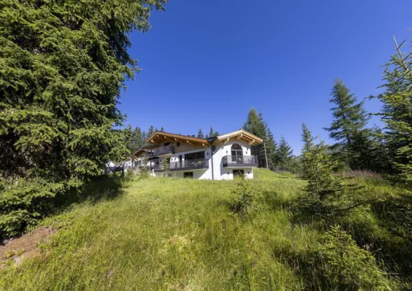 0026 HK Sam Alm Top 2 zomer 5