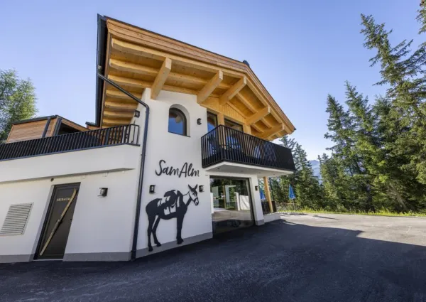 0030 HK Sam Alm Top 2 zomer 3