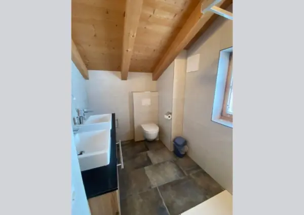 Berghutte badkamer met douche en toilet