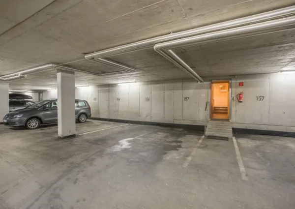 0022 WLD Anne Marie 21