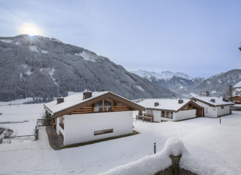 0028 WLD Anne Marie winter 2