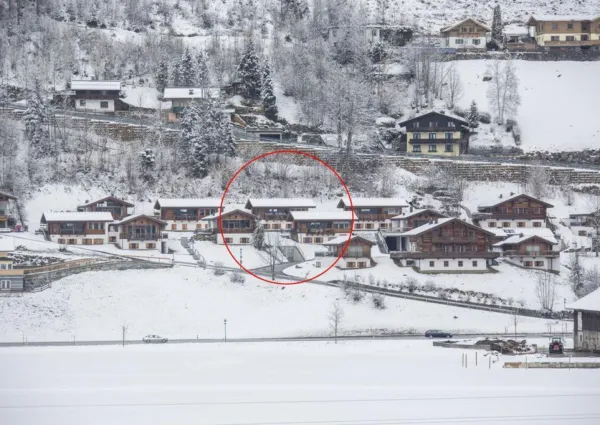 0029 WLD Anne Marie winter 3