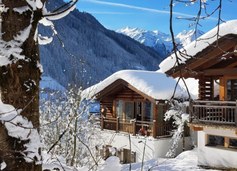 0001 bergkristall wald