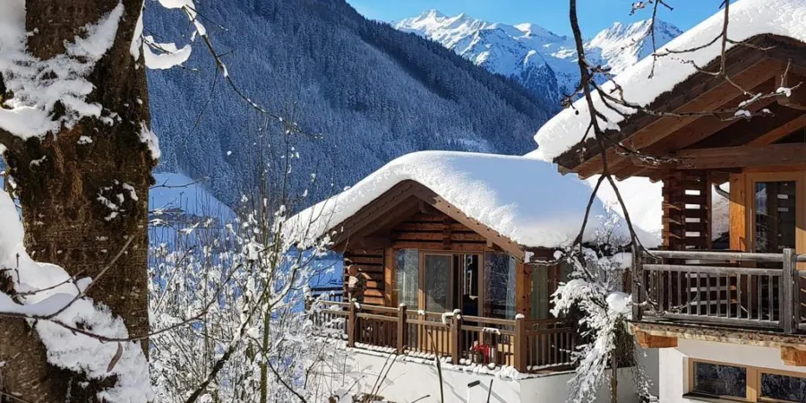 0001 bergkristall wald