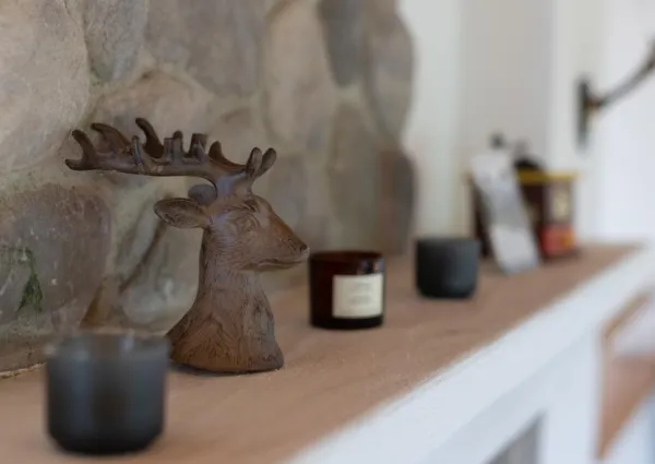 0011 WLD Edelhirsch 2023 9