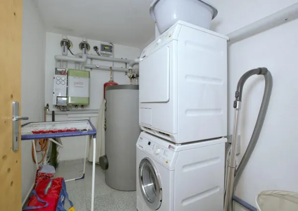 0020 WLD Edelhirsch 15