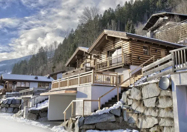 0029 WLD Edelhirsch winter 5