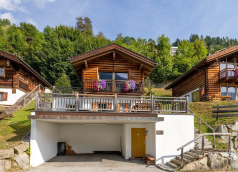 0002 WLD Edelhirsch Sommer 11