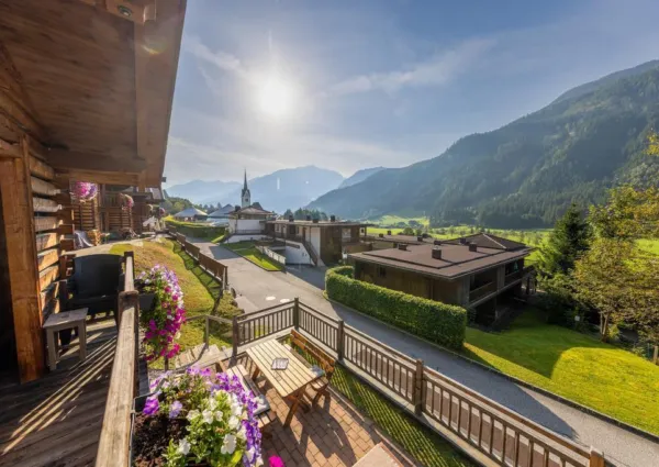 0021 WLD Edelhirsch Sommer 8