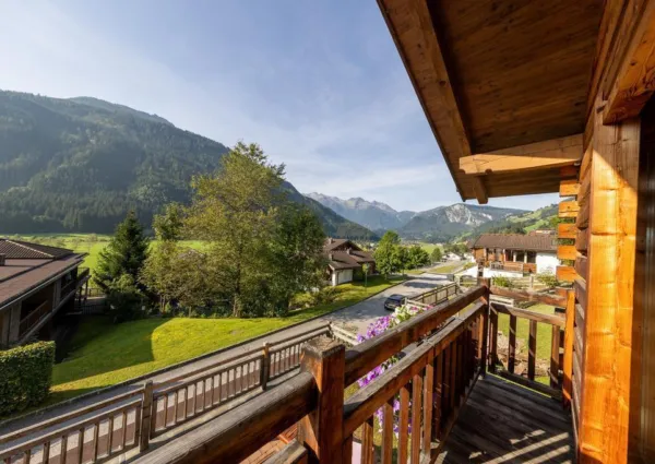 0025 WLD Edelhirsch Sommer 5