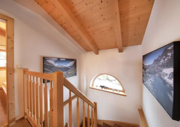 0017 Wald Holzblick 508 hal