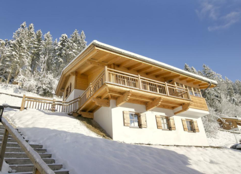 0001 WLD Chalet Mil Ka winter 9