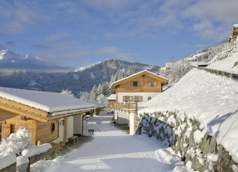 0035 WLD Chalet Mil Ka winter 10