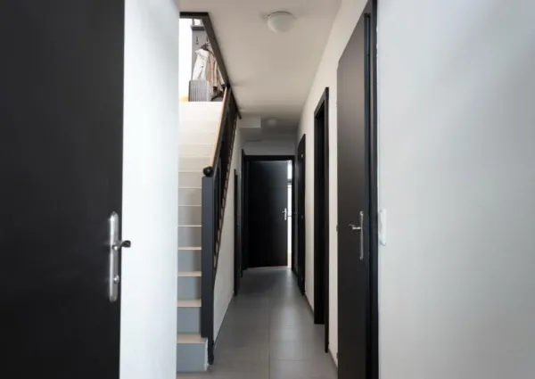 0011 WLD Schneerose hal a