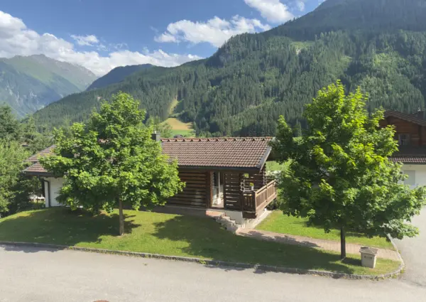 Wald Sch C3 B6neben Schneerose zijkant zomer