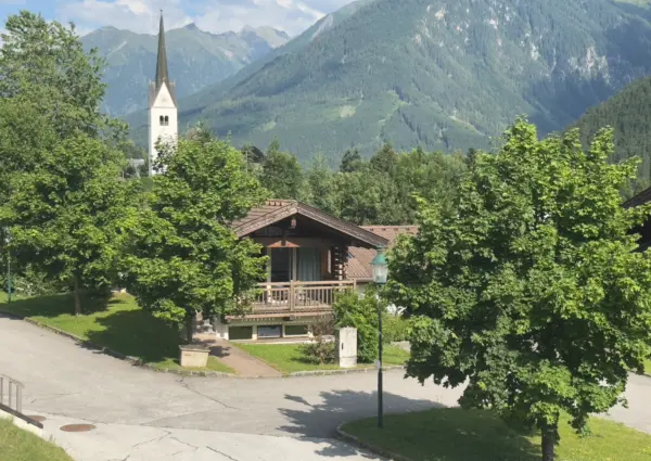 Wald Sch C3 B6neben Schneerose aanzicht zomer