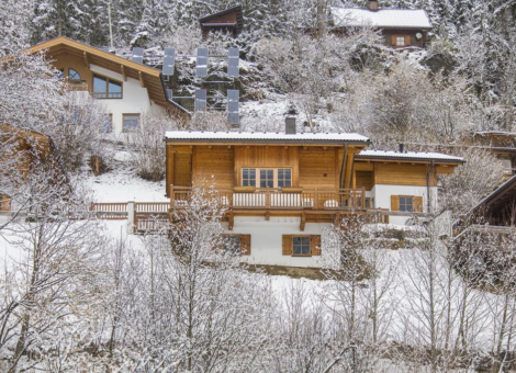 0029 WLD Schoneck winter 3