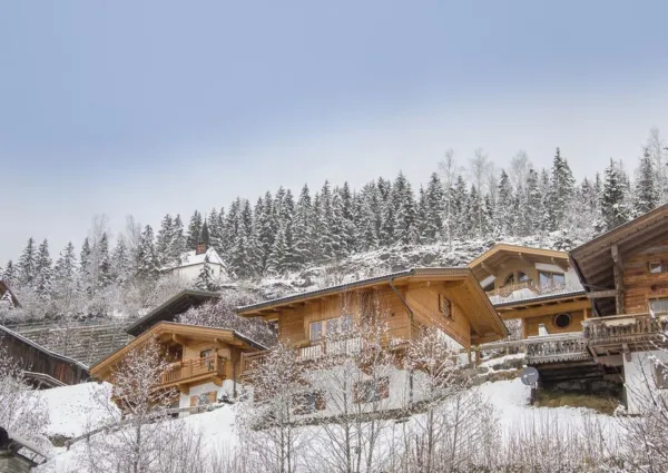 0031 WLD Schoneck winter 4