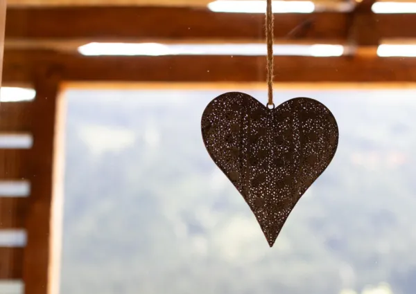 WLD Scorleduyn 2024 detail 2