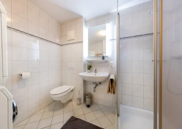 Sch C3 B6neben Chalet Steinlinge Wald im Pinzgau Badkamer 1