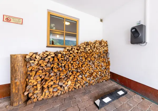 Sch C3 B6neben Chalet Steinlinge Wald im Pinzgau Laadstation