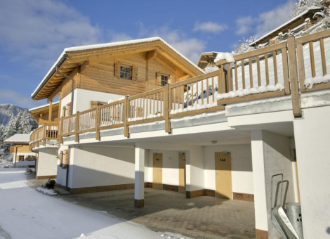 0026 WLD Steinlinge winter 2