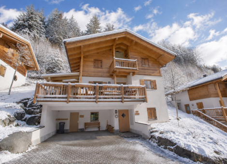 Wald im Pinzgau Sch C3 B6neben Chalet t Hoge Loo